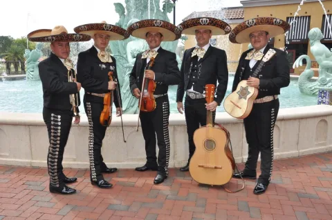 Ver mas del anuncio