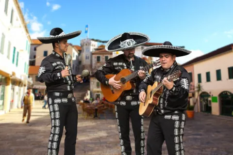 Mariachi Estilo Mexicano