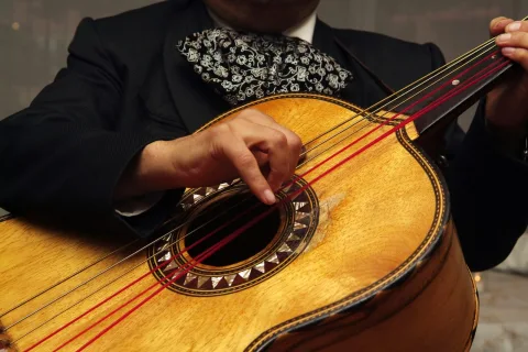 Mariachi Tradición Viva - Mariachi de confianza