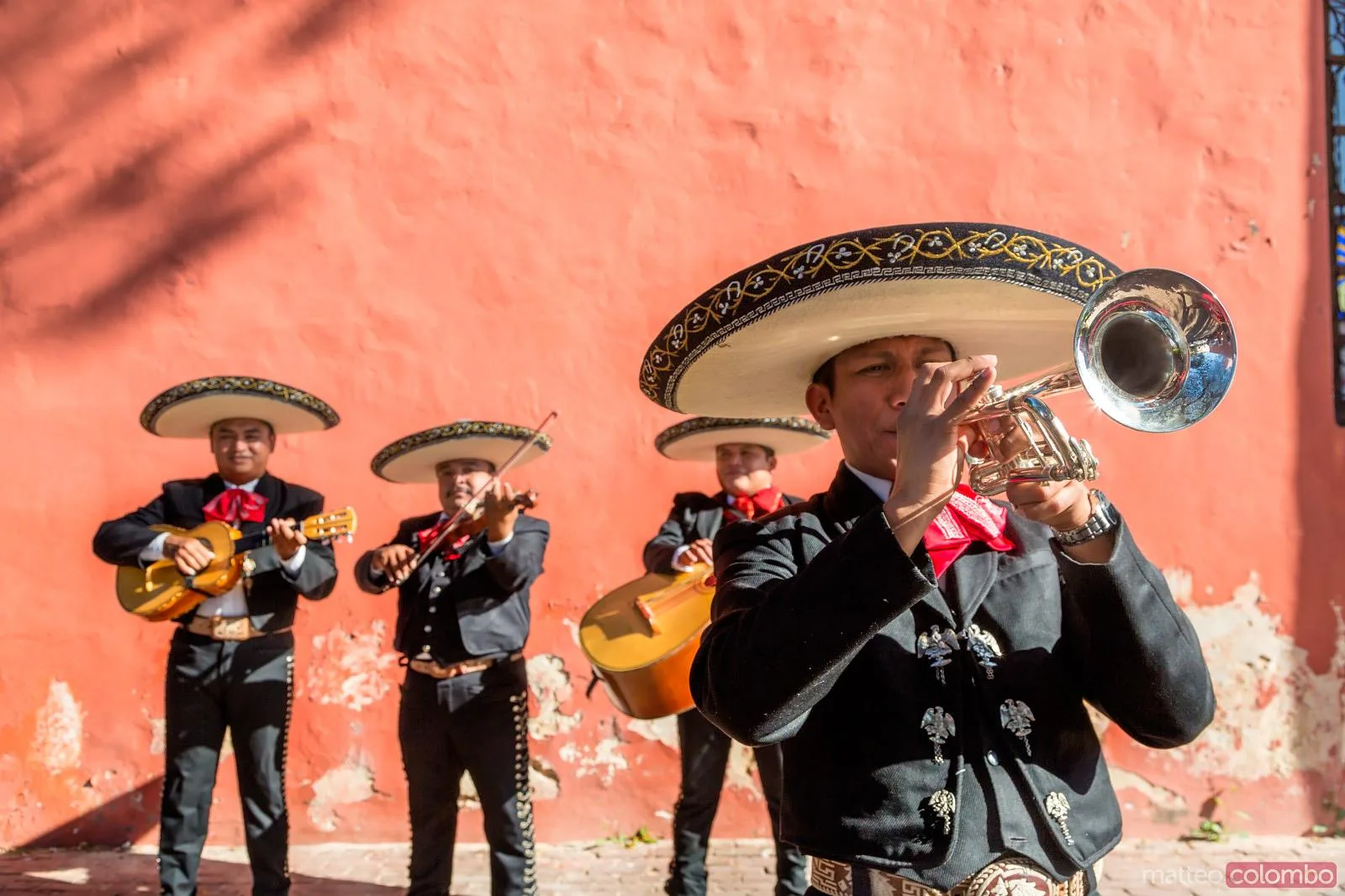 Mariachi Tradición Viva - Mariachi de confianza