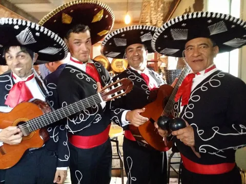 Mariachi Aires de México