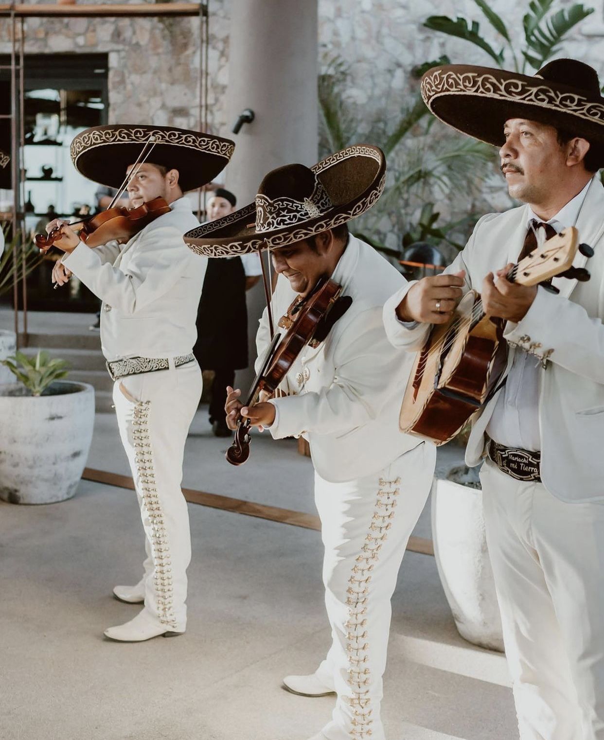 Mariachi Tradición Mexicana
