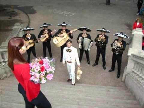 Ver mas del anuncio